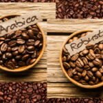 tipos-de-cafe-arabica-o-que-é-conilon-100%-benefícios-marcas-comprar-valor-gourmet-variedades-cultivados