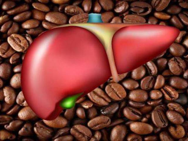 cafe-faz-mal-ao-pancreas-gordo