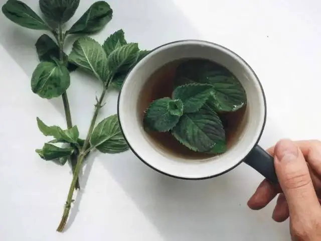 Como- preparar- chá- de- hortelã- com- abacaxi