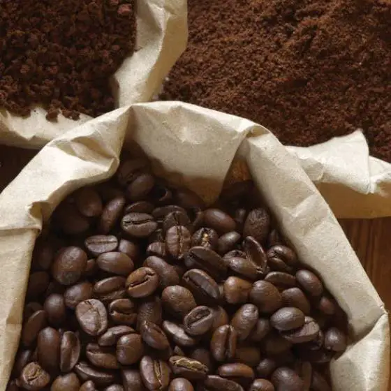 Quais- são- as- variedades- de- café- Robusta