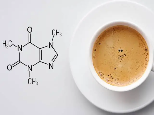 remoção-cafeina-cloreto-metileno