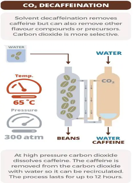 remoção-cafeina-por-dioxido-de-carbono