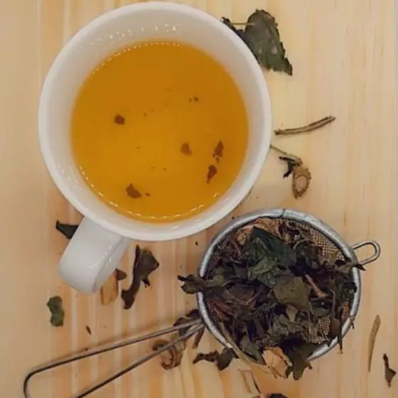 Chá -de- Limão-Guaco- Gengibre- e -Mel- é -bom -para -gripe