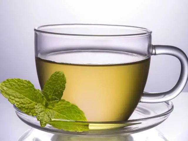 Grávida- pode- tomar -Chá -de- Limão- e- Orégano