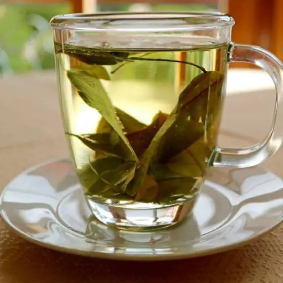 Quais -são -as- melhores- marcas -de -Chá -de- Limão- e- Louro