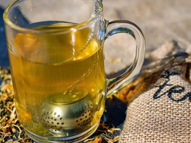 Quais- são- os- benefícios -do- Chá- de -Boldo- com- Limão