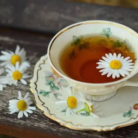 Quais- são -os- benefícios -do- Chá -de- Limão- Açafrão- e- Gengibre