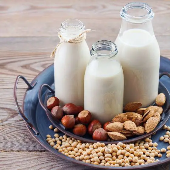 Quais- são- os -benefícios-do-leite -vegetal