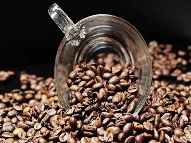 Qual- o- café -mais- caro- do- mundo -de- fezes
