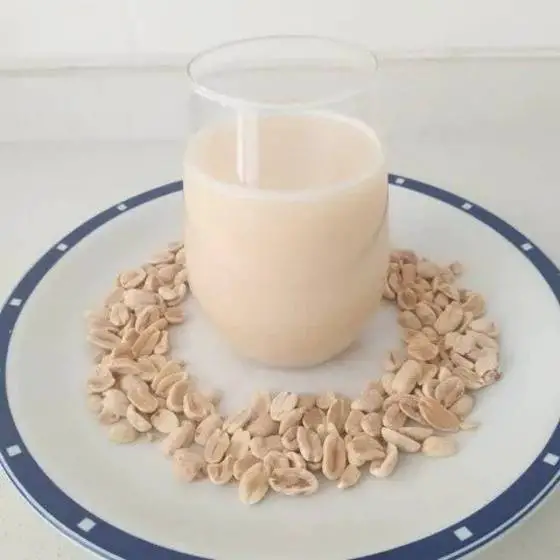 Quantas -gramas -de- proteína- tem- o- leite -de -amendoim
