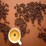 cafe-kopi-luwak-animal-brasil-preço-civeta-melhor-cafe-jacu