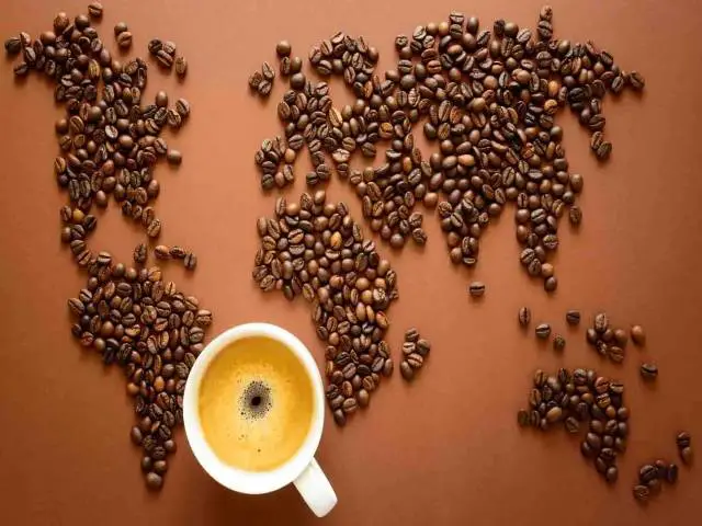cafe-kopi-luwak-animal-brasil-preço-civeta-melhor-cafe-jacu