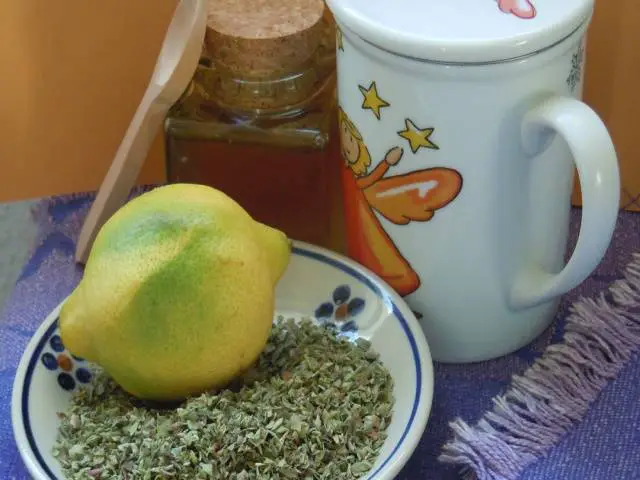 chá- de- Limão -e- Orégano -é- bom -para -dor -de -garganta