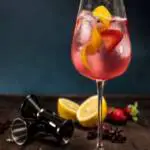 gin-energetico-frutas-vermeljhas-como-fazer-especiarias-receita-drink-zimbro-gordons