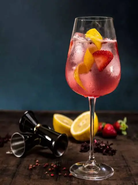 gin-energetico-frutas-vermeljhas-como-fazer-especiarias-receita-drink-zimbro-gordons